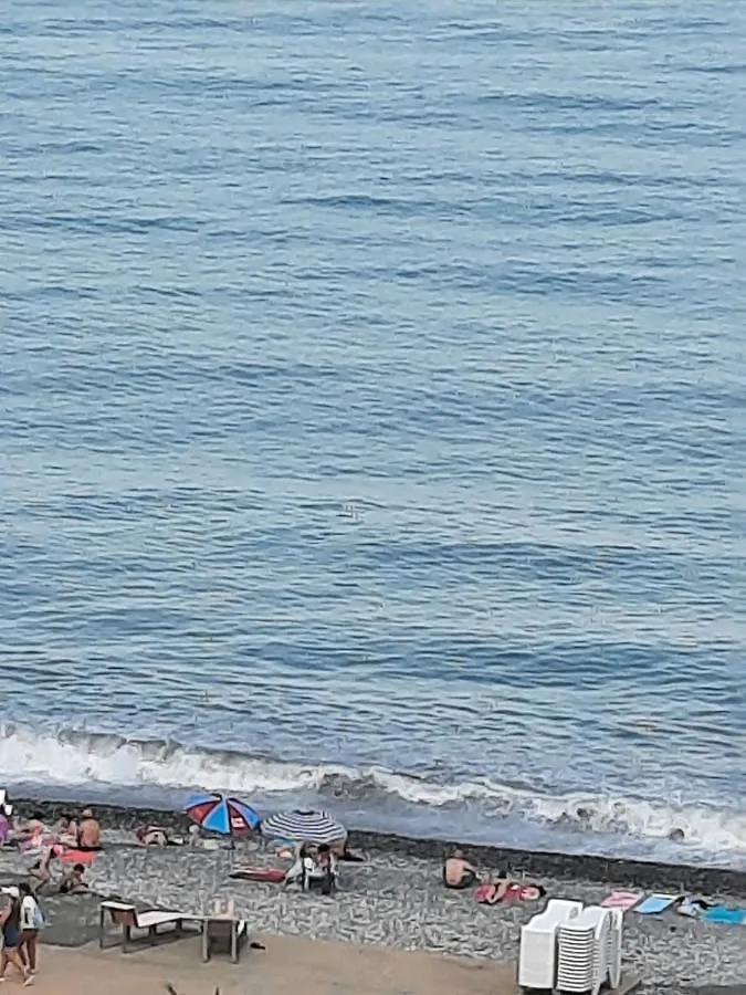 Apartment 37 With A Unique Sea View In Batumi 0*,  Georgien